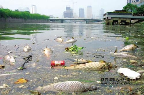 離子交換樹脂對污染如何進行處理？